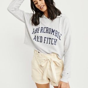 Abercrombie and Fitch Cropped Pullover Hoodie